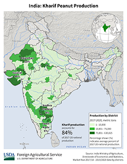 images\IN\seasonalmap\IND_Kharif_Peanut_preview.png